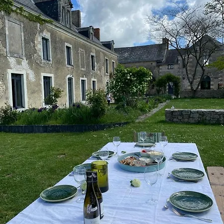 Magnifique Loft Au Coeur De L'anjou 20 Mn D'angers Pour 15 Personnes Penzion *